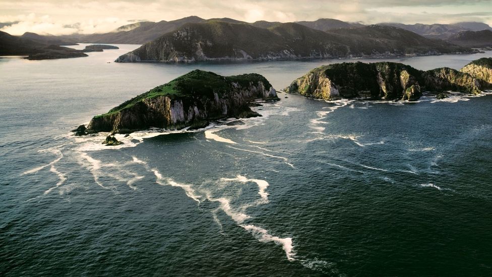 Port Davey's rugged islands (Peter Walton Photography/Getty Images)