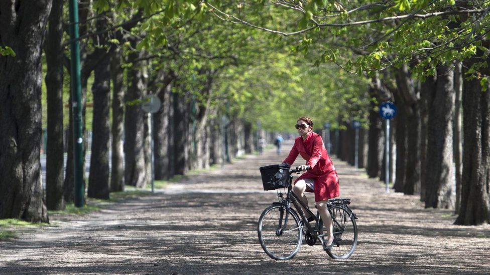 Riding through Prater Park (Credit: Joe Klamar/AFP/Getty Images) Riding through Prater Park (Credit: Joe Klamar/AFP/Getty Images)