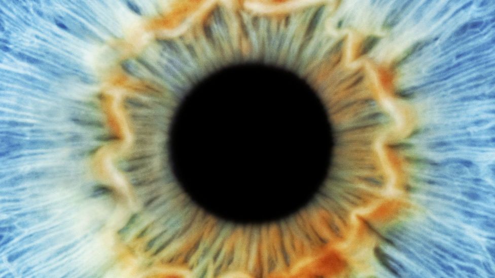 Dilated pupils reveal uncertainty in decision-making (Credit: Thinkstock)
