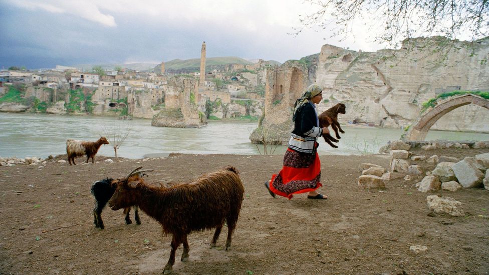 A shepherd woman walks along the Tigris River (Credit: Scott Wallace/Getty)