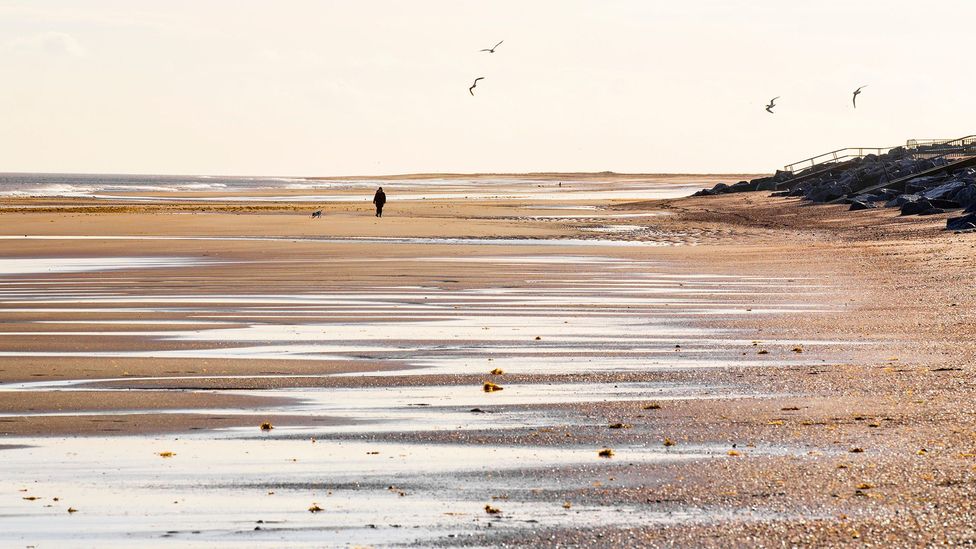 A solitary walker on the beach of Skegness, listed in 2013 as the country’s most deprived seaside town (Credit: Andrew Fox/Alamy) A solitary walker on the beach of Skegness, listed in 2013 as the country’s most deprived seaside town (Credit: Andrew Fox/Alamy)