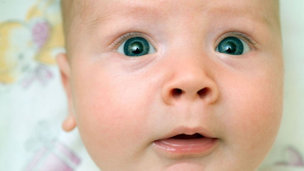 Some six-month-old babies show the capacity to recognise other faces (Credit: Alamy)