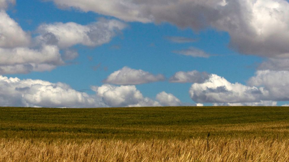 Palouse, Washington Palouse, Washington