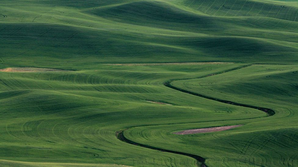 Palouse, Washington Palouse, Washington