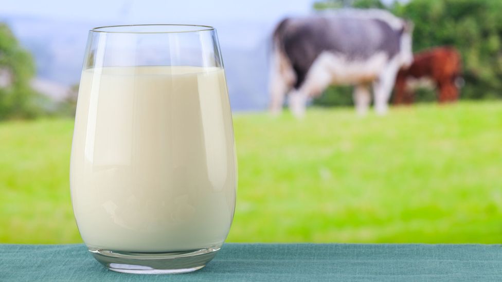 Milk's pure white colouring didn't hurt when it came to advertising it as a nutritious food (Credit: Getty Images)