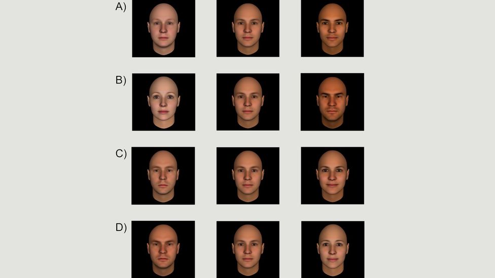 These faces show less or more (A) competence, (B) dominance, (C) extroversion, (D) trustworthiness (Credit: Christopher Olivola, Friederike Funk, Alexander Todorov)