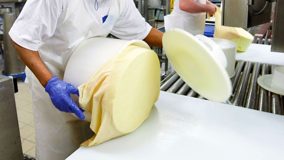 Forming the cheese into its round shape (Credit: Västerbottensost®)