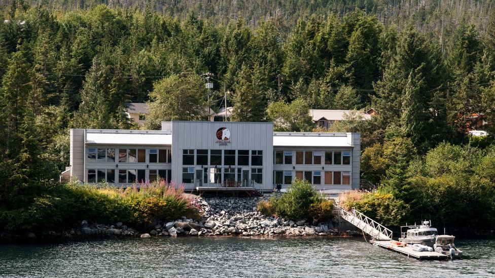 Great Bear Rainforest, Spirit Bear Lodge, Klemtu Great Bear Rainforest, Spirit Bear Lodge, Klemtu