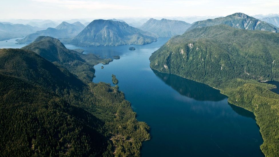 Great Bear Rainforest Great Bear Rainforest