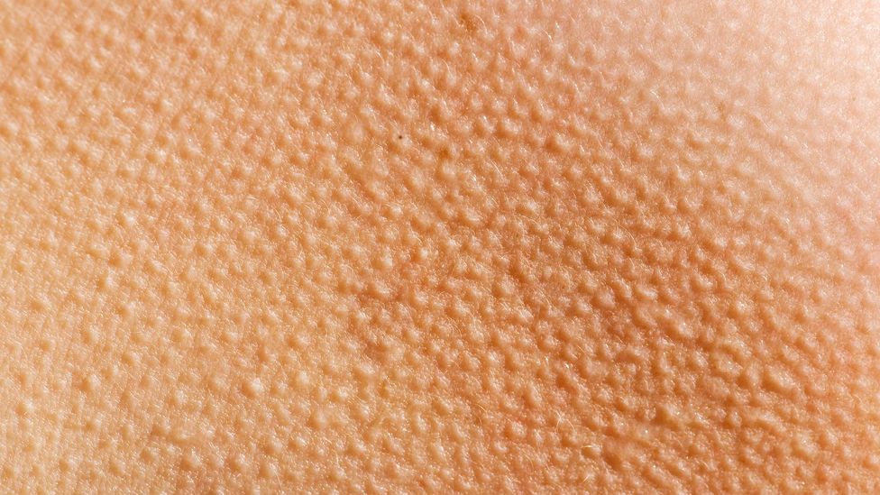 The Strange Phenomenon Of Musical Skin Orgasms Bbc Future