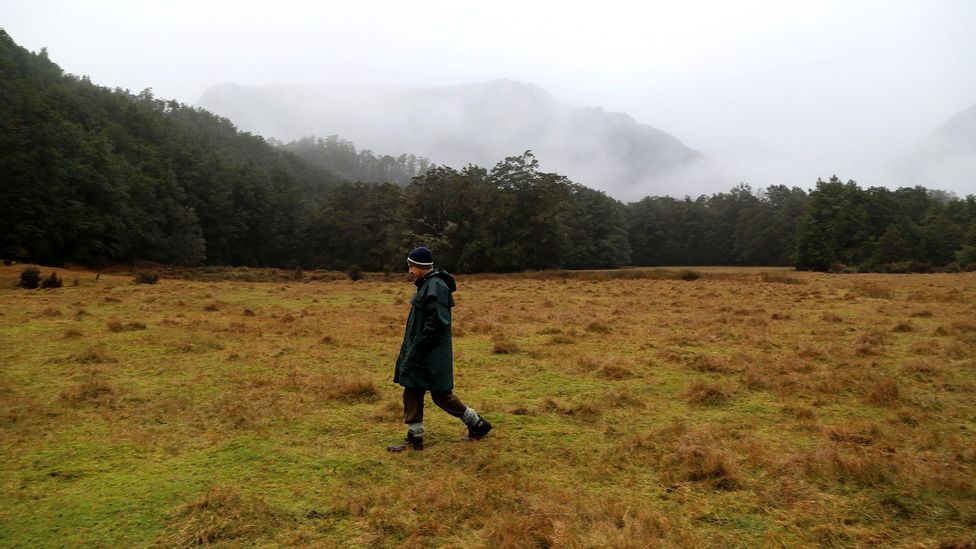 Walking across the open countryside (Credit: Naomi Arnold) Walking across the open countryside (Credit: Naomi Arnold)