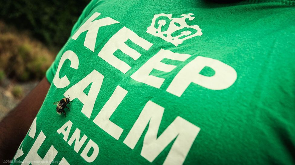 Software used to create T-shirt slogans similar to this one generated offensive results (Credit: Michal Huniewicz/Flickr/CC BY 2.0)