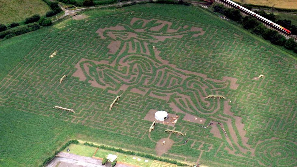 When it was designed in 2002, Fisher’s 15-acre maze at Stewarts Garden-Lands in Christchurch, England was the largest in the world (Credit: Adrian Fisher/Adrian Fisher Design)