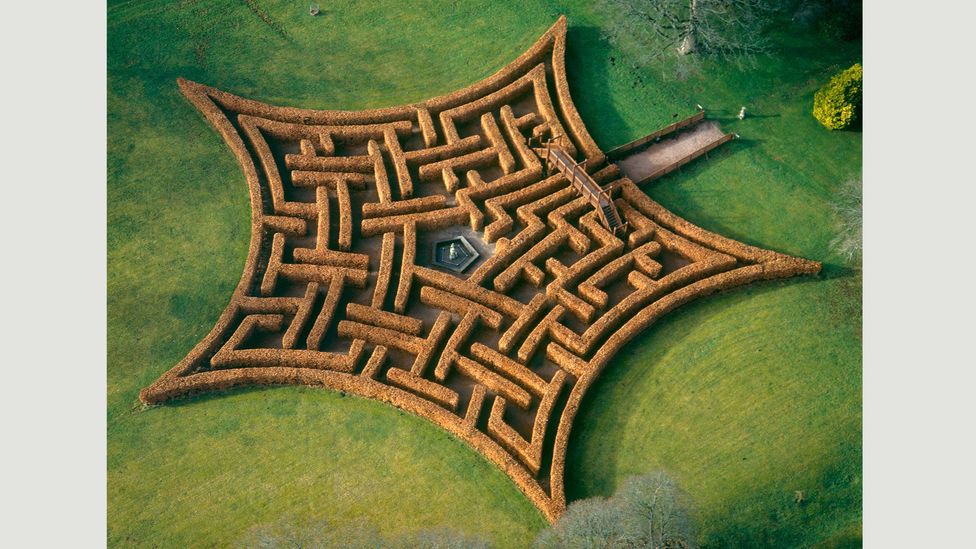 Fisher designed this maze for Scone Palace in Perthshire, Scotland in the shape of the Murray family crest, using 2,000 beech trees (Credit: Adrian Fisher/Adrian Fisher Design) Fisher designed this maze for Scone Palace in Perthshire, Scotland in the shape of the Murray family crest, using 2,000 beech trees (Credit: Adrian Fisher/Adrian Fisher Design)