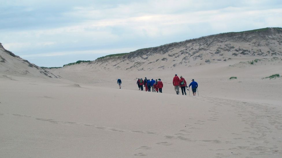 Walking across Sable Island's sand dunes (Credit: Tim Johnson)