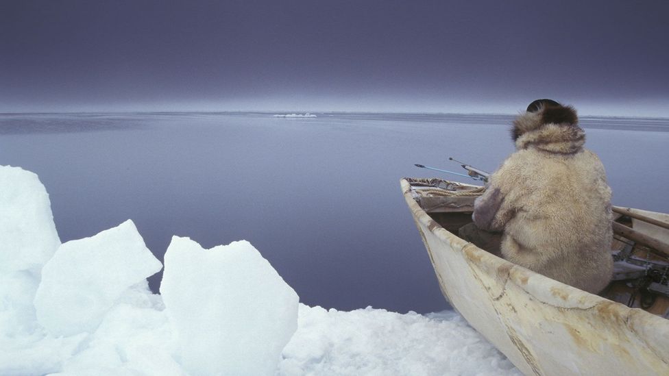 Inuit hunters have long known that bowhead whales outlive almost every other creature (Credit: Getty Images)