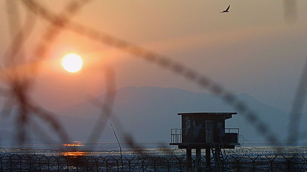 South Korea has access to the reserve of Japan in an emergency (Credit: Getty Images) South Korea has access to the reserve of Japan in an emergency (Credit: Getty Images)