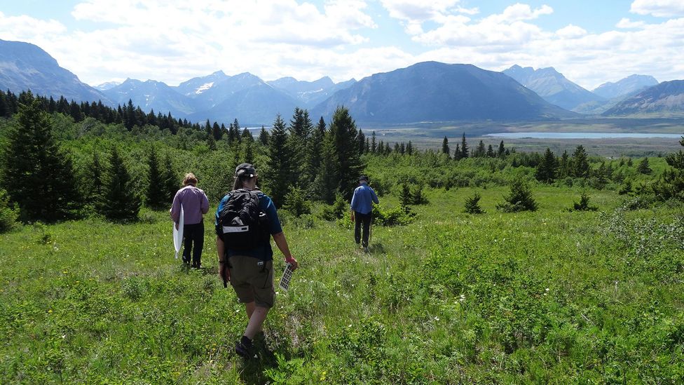 Hikers enjoy the Canadian nature reserve (Credit: Carol Patterson)