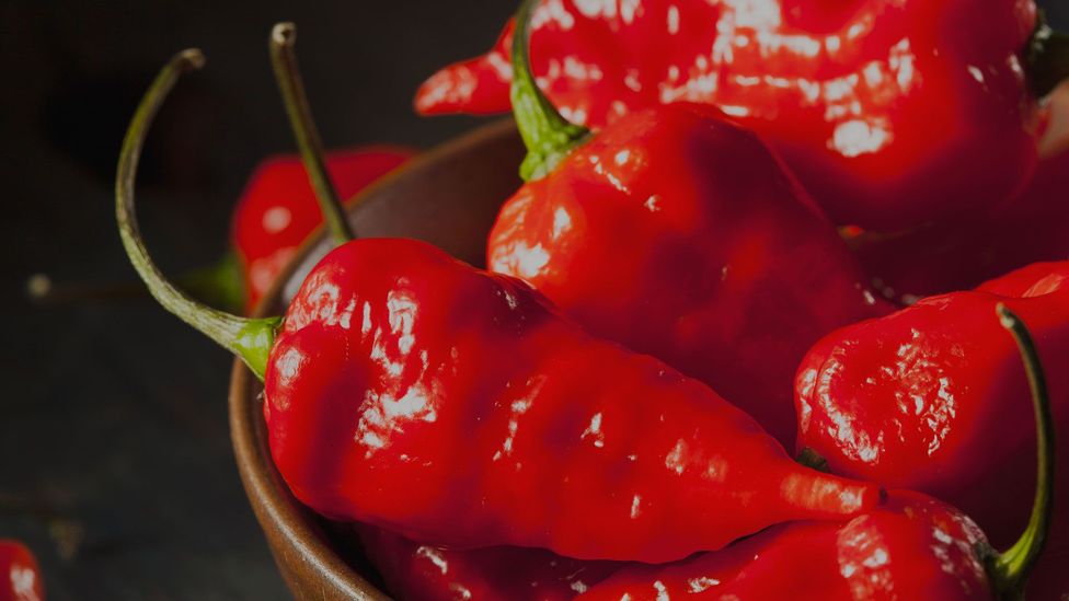 Hot chillis can trigger pleasurable responses... eventually (Credit: Thinkstock) Hot chillis can trigger pleasurable responses... eventually (Credit: Thinkstock)