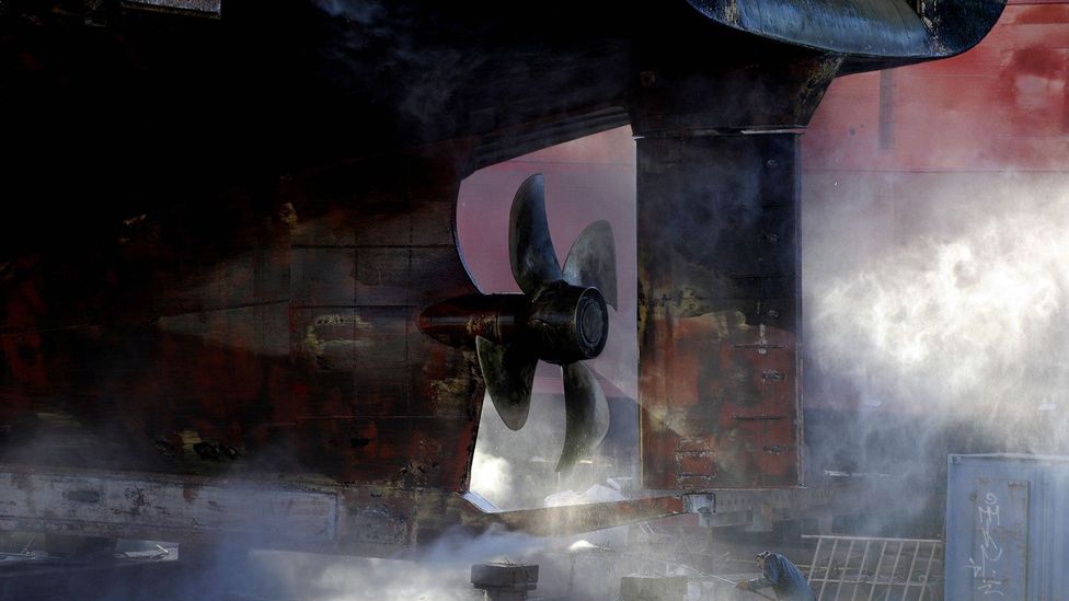 "We never thought that this could be something that could kill" - Michel Andre on the noise caused by shipping and other human noises (Credit: Getty Images) "We never thought that this could be something that could kill" - Michel Andre on the noise caused by shipping and other human noises (Credit: Getty Images)
