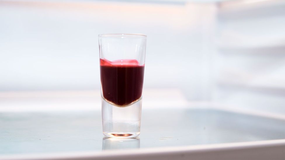 So-called "medical sanguinarians" claim that regular shots of blood relieve them of fatigue, headaches and severe stomach pains (Credit: Olivia Howitt)