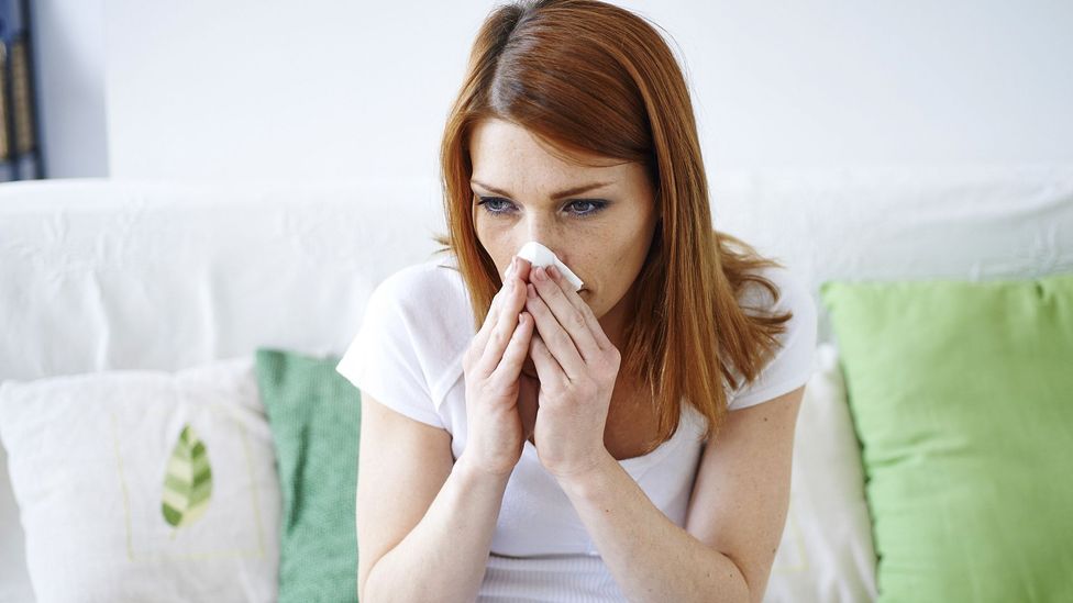 Those plagued by allergies could look forward to later years with less serious symptoms (Credit: Science Photo Library) Those plagued by allergies could look forward to later years with less serious symptoms (Credit: Science Photo Library)