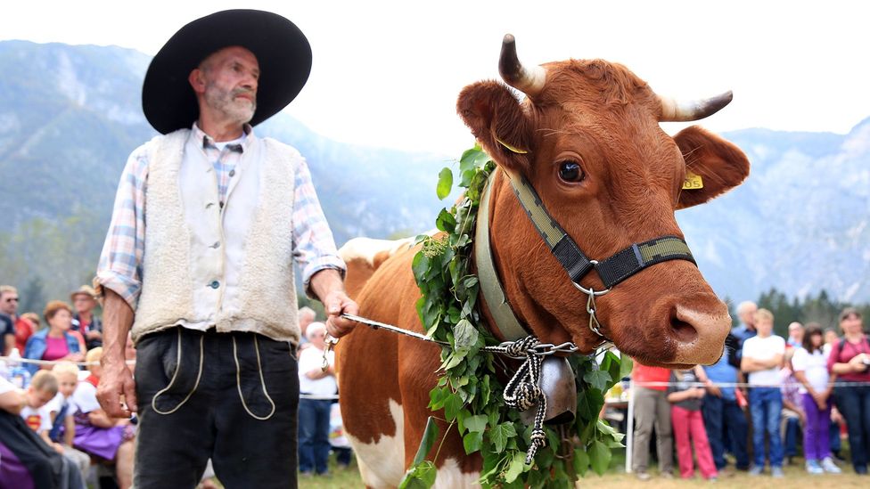 Villagers celebrate the cows’ homecoming every autumn (Credit: Mitja Sodja/Tourism Bohinj) Villagers celebrate the cows’ homecoming every autumn (Credit: Mitja Sodja/Tourism Bohinj)