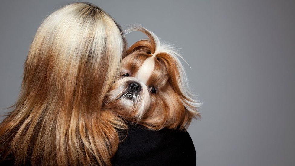 Dogs Look Like Their Owners It S A Scientific Fact Bbc Future