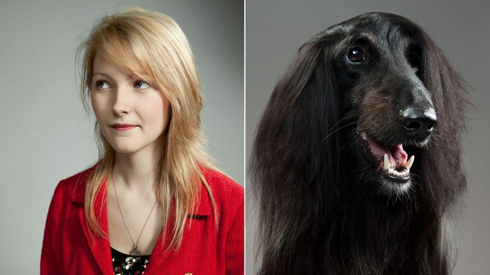 It's not just appearances - our dogs may also share our personality profile (Credit: Gerrard Gethings) It's not just appearances - our dogs may also share our personality profile (Credit: Gerrard Gethings)