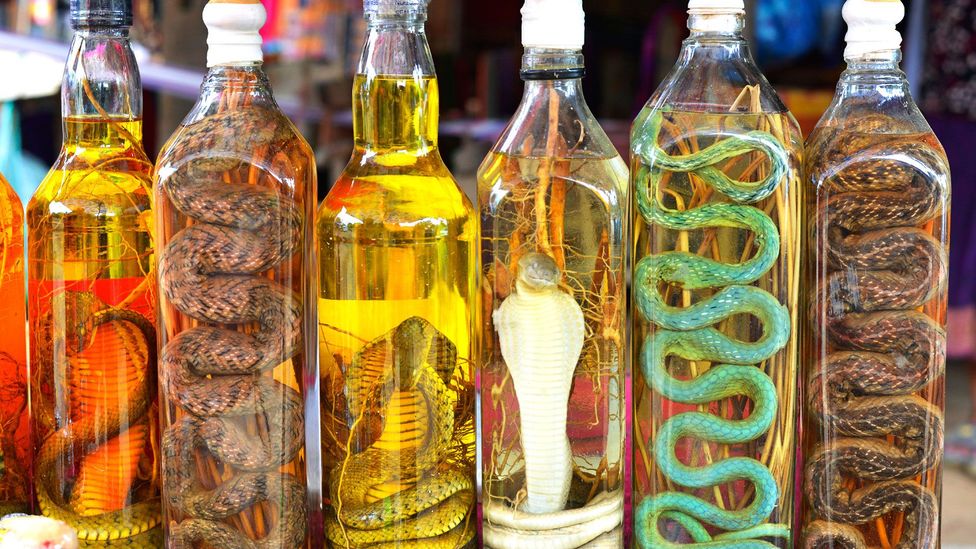 Many believe the venom in snake wine holds health benefits (Credit: Andy Krakovski/iStock)
