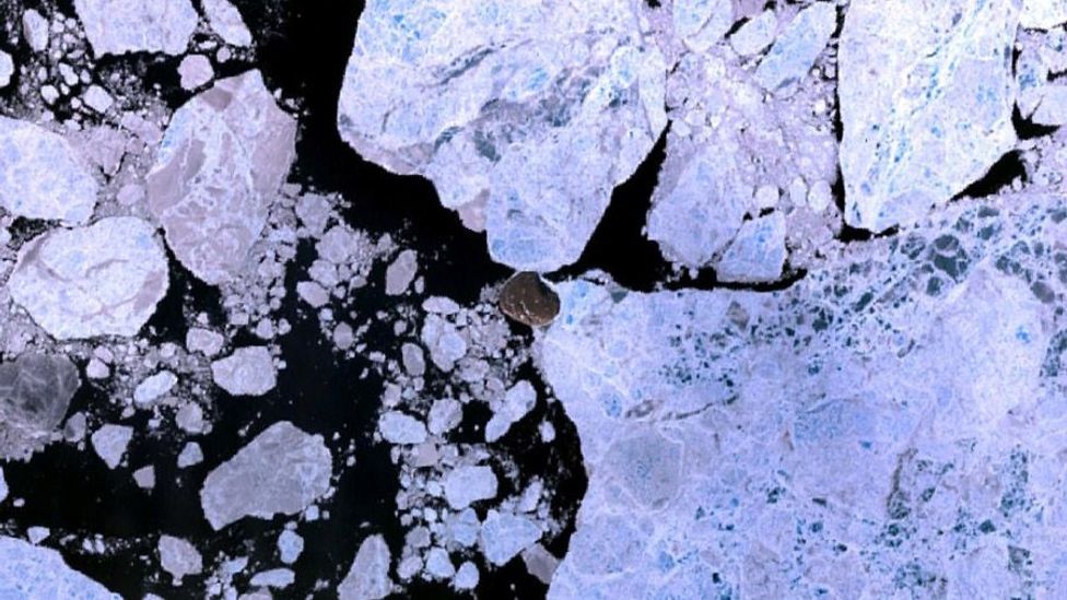A small speck in the centre of the image, Hans island is usually surrounded by sea ice. But a new ownership debate is starting (Credit: Wikipedia/Finlay McWalter/CC BY 2.0) A small speck in the centre of the image, Hans island is usually surrounded by sea ice. But a new ownership debate is starting (Credit: Wikipedia/Finlay McWalter/CC BY 2.0)
