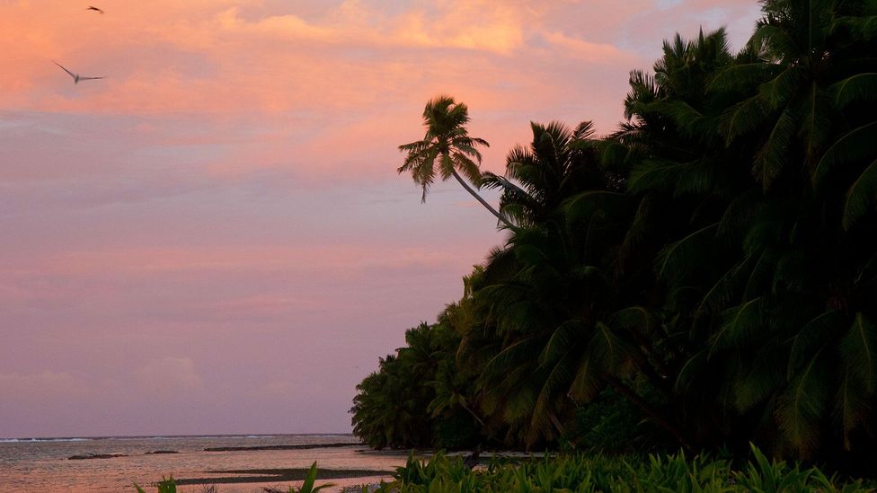 Painted skies over Chagos (Credit: Diane Selkirk)