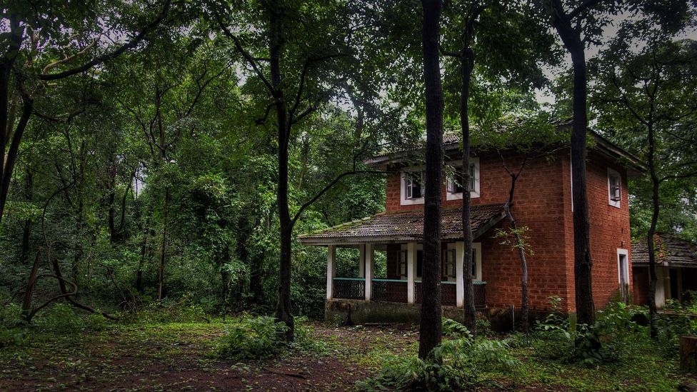 Shirley Jackson's 1959 novel, The Haunting of Hill House, has been cited by Stephen King as one of the greatest horror novels of all time (Credit: Premnath Thirumalaisamy/Flickr) Shirley Jackson's 1959 novel, The Haunting of Hill House, has been cited by Stephen King as one of the greatest horror novels of all time (Credit: Premnath Thirumalaisamy/Flickr)