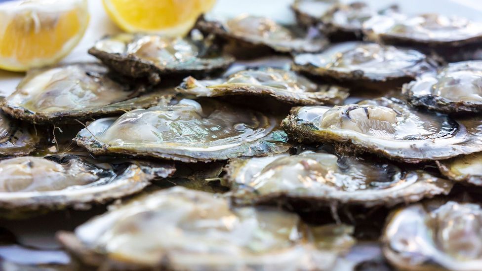 European flat oysters are enhanced by nutrients in Mali Ston Bay (Credit: Westend61 GmbH/Alamy)