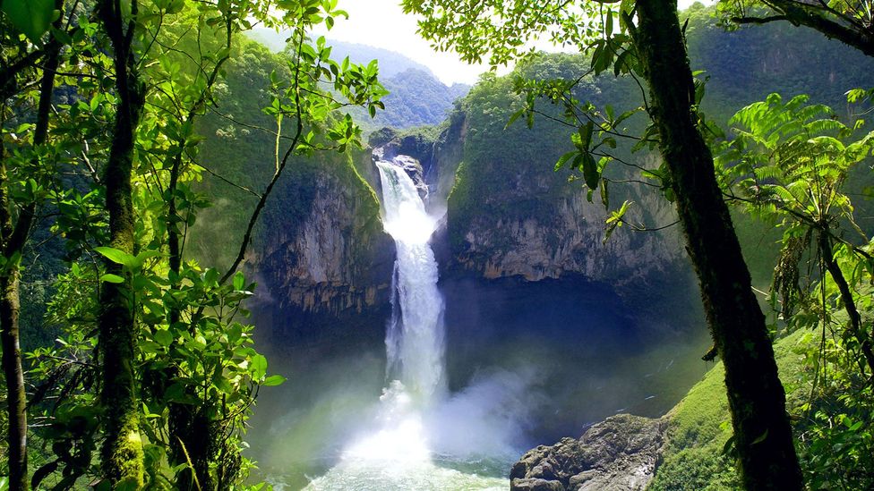 San Rafael Falls, Ecuador's tallest waterfall, in the Sumaco Biosphere Reserve (Credit: Kseniya Ragozina/Alamy)