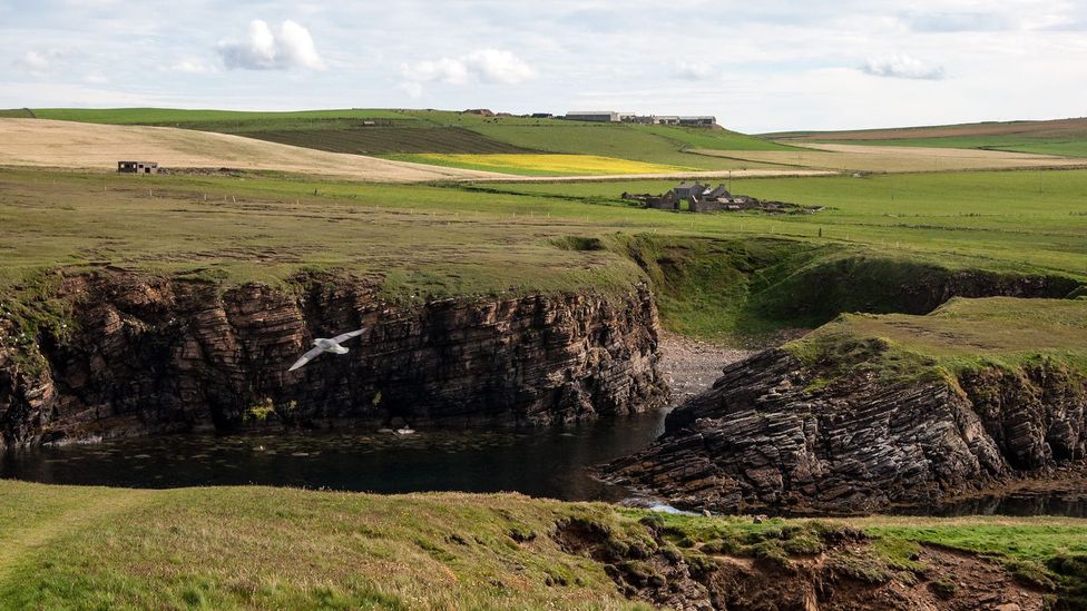 Now considered remote, Orkney once was a major centre in northern Europe (Credit: Amanda Ruggeri) Now considered remote, Orkney once was a major centre in northern Europe (Credit: Amanda Ruggeri)