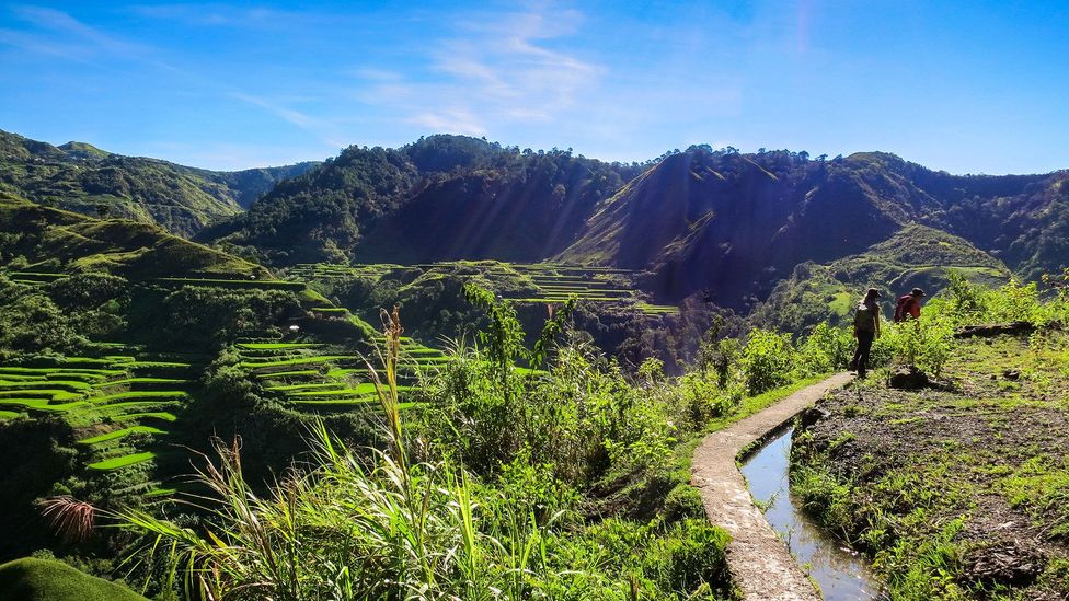 Hiking the lush path to Buscalan (Credit: HoneyTrek)