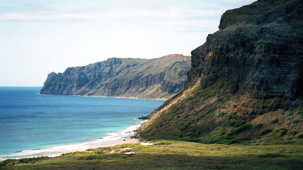 The coast of Ni’ihau (Credit: Wikipedia.org)