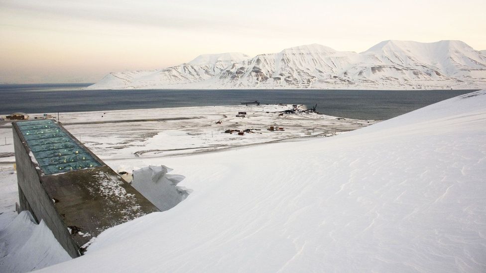 Snow blows off the Svalbard Global Seed Vault (Credit: Daniel Sannum Lauten/AFP/Getty)