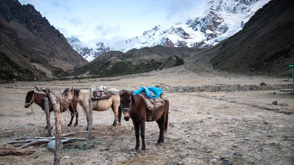 Salkantay Trek, Peru, Machu Picchu, hiking, Salkantay Ranges, horses, Soraypamapa