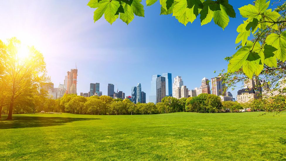 Even something as simple as a walk in a park on a sunny day can help combat jet lag (Credit: Alamy)