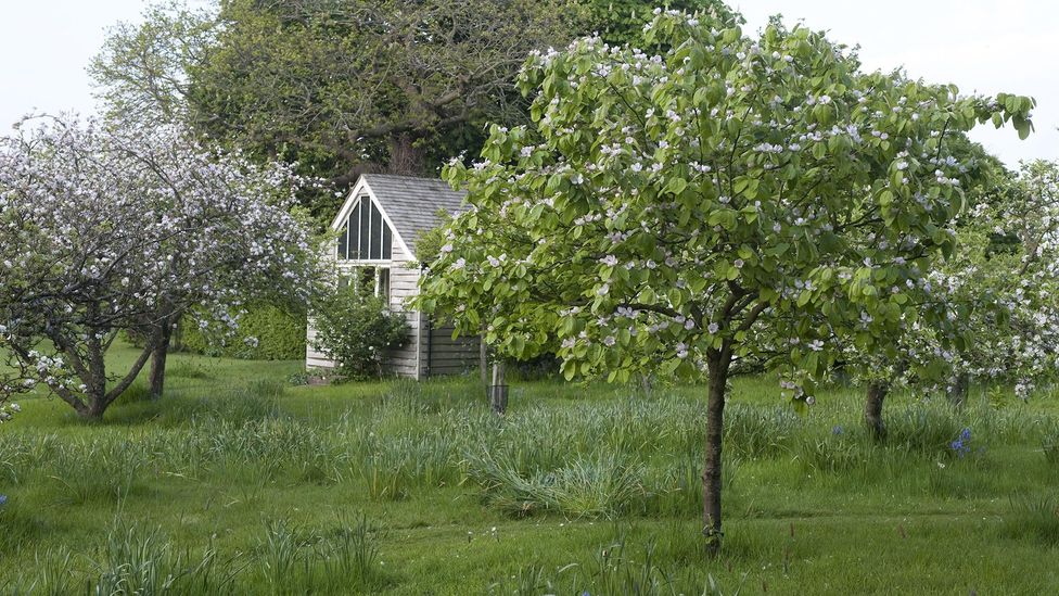 Woolf wrote most of Between the Acts at her country retreat of Monk’s House, shown here (Credit: The National Trust Photolibrary/Alamy) Woolf wrote most of Between the Acts at her country retreat of Monk’s House, shown here (Credit: The National Trust Photolibrary/Alamy)