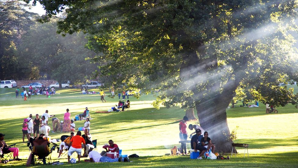 The sunny weather means the people of Johannesburg can always enjoy outdoor activities (Credit: Margaret S/Alamy)