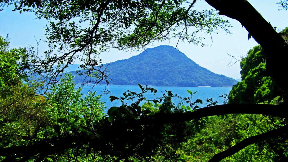 Japan’s Ninoshima Island in Hiroshima Bay (Credit: Angeles Marin Cabello) Japan’s Ninoshima Island in Hiroshima Bay (Credit: Angeles Marin Cabello)