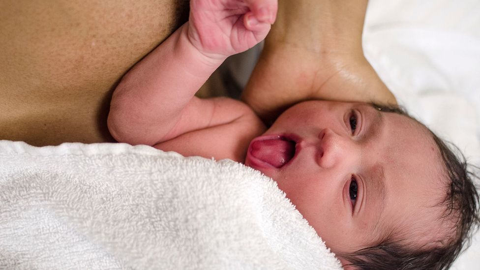 Testing the supposed impact of pheromones may only be possible in newborn babies (Credit: Alamy)