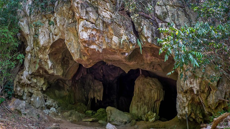 The entrance of Gua Harimau, a hidden cavern in the Malaysian jungle (Credit: Kit Yeng Chan)