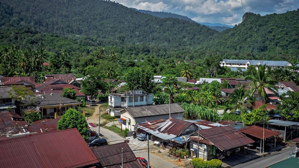 Lenggong Town is surrounded by jungle (Credit: Kit Yeng Chan)