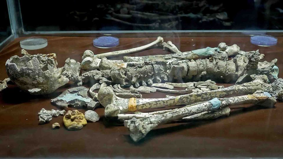 The remains of the Perak Man can be found at Lenggong Archeological Museum (Credit: Kit Yeng Chan)