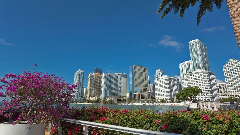 Brickell is a great neighborhood for Miami nomads (Credit: GALA Images/Alamy)