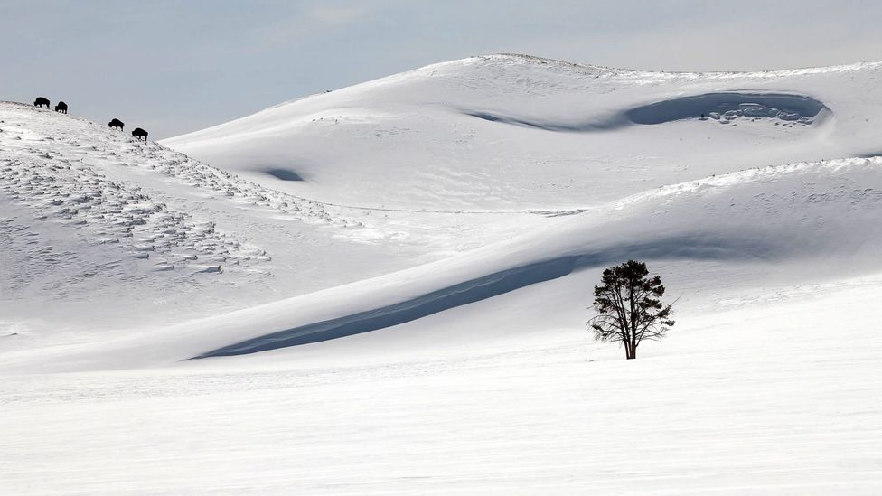 Winter brings balance to Yellowstone’s hectic summer season (Credit: Steven Fuller)